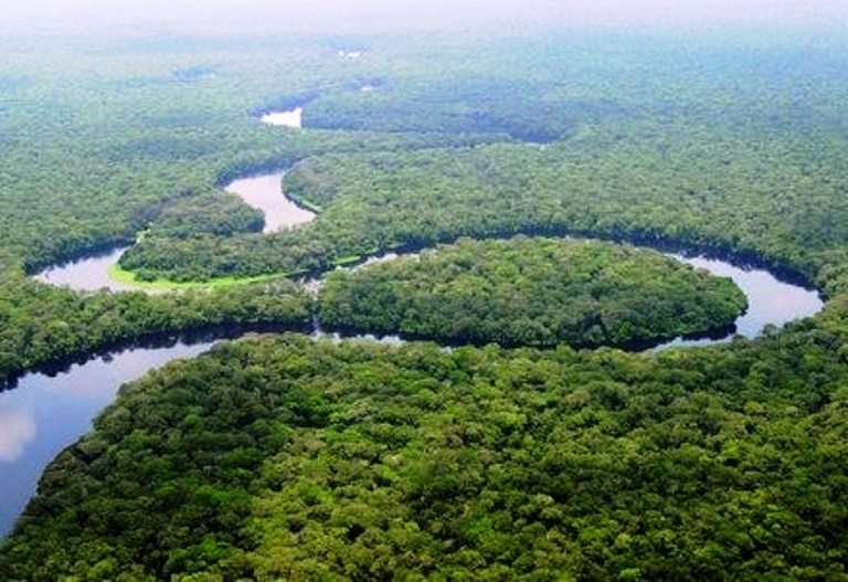 La forêt équatorial en RDC